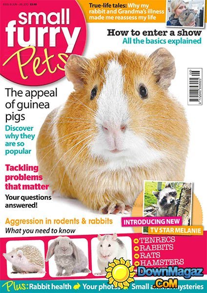 Small Furry Pets Issue 8 - June/July 2013