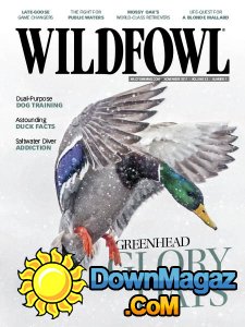 Wildfowl - 11.2017 Wildfowl - 11.2017