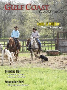 Gulf Coast Cattleman - 01.2019