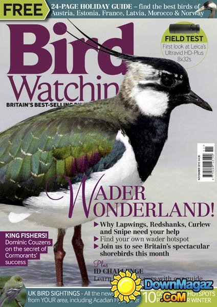Bird Watching UK – November 2015 Bird Watching UK – November 2015