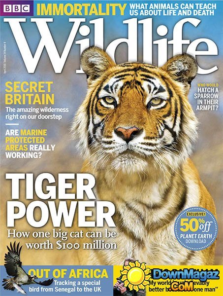 BBC Wildlife - April 2016