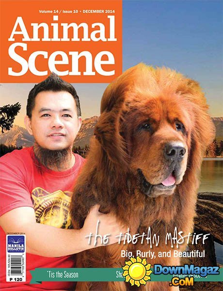 Animal Scene - December 2014 Animal Scene - December 2014