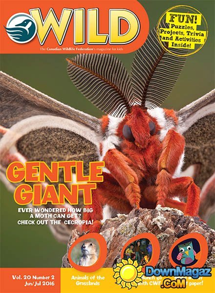 WILD - June - July 2016