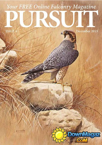 Pursuit Falconry Magazine – December 2013