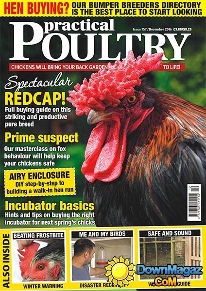 Practical Poultry - December 2016 Practical Poultry - December 2016