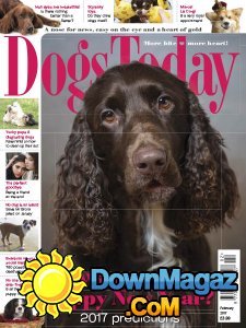 Dogs Today UK - 02.2017 Dogs Today UK - 02.2017