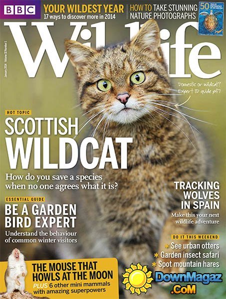 BBC Wildlife - January 2014 BBC Wildlife - January 2014