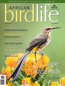 African Birdlife - 05/06 2018 African Birdlife - 05/06 2018