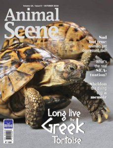 Animal Scene - 10.2018 Animal Scene - 10.2018