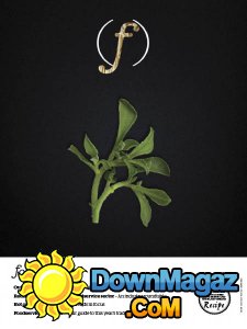 foodService - 05.2017 foodService - 05.2017