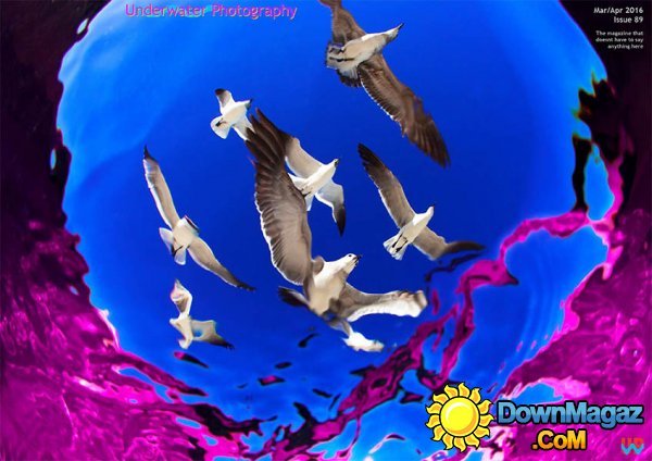 Underwater Photography - March - April 2016 Underwater Photography - March - April 2016
