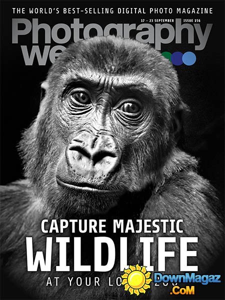 Photography Week UK - 17 September 2015 Photography Week UK - 17 September 2015