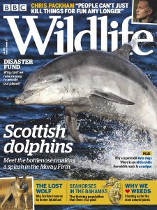 BBC Wildlife - 06.2019 BBC Wildlife - 06.2019