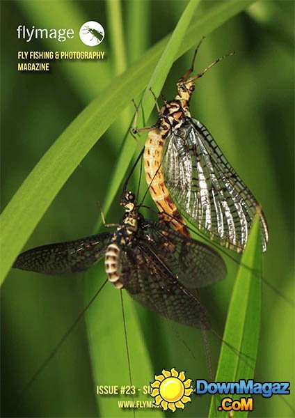 Flymage - Summer 2014