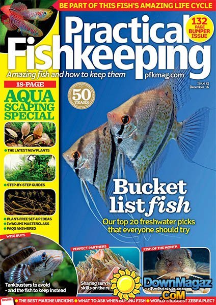 Practical Fishkeeping - December 2016