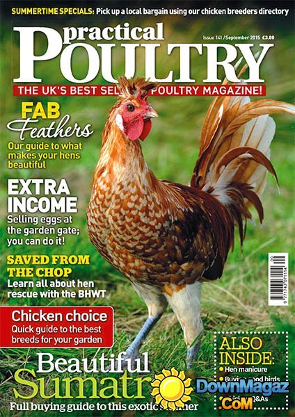 Practical Poultry UK - September 2015 Practical Poultry UK - September 2015