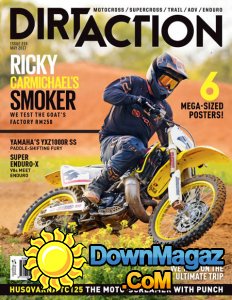 Dirt Action - 05.2017