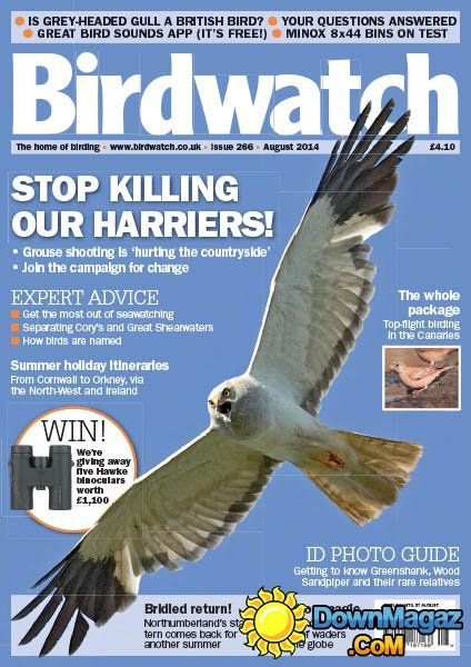 BirdWatch - August 2014