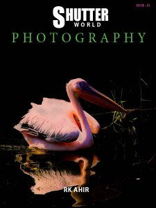 ShutterWorld - Is. 1 2018 ShutterWorld - Is. 1 2018