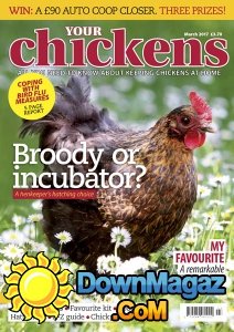 Your Chickens - 03.2017 Your Chickens - 03.2017