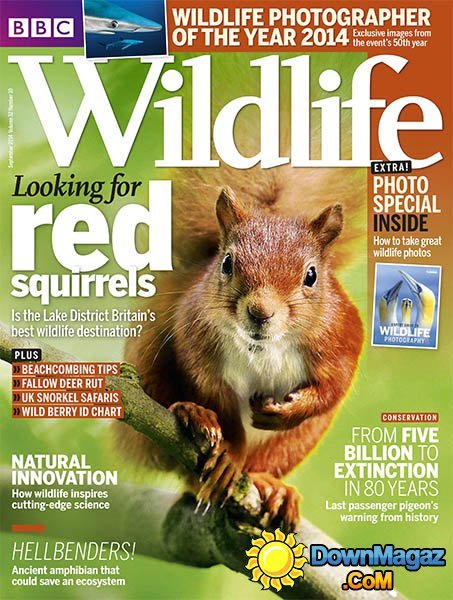 BBC Wildlife - September 2014