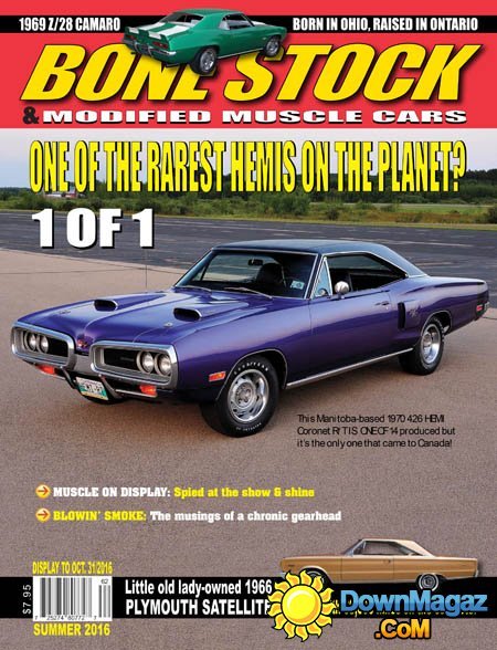 Bone Stock - Summer 2016