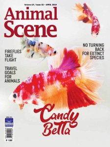 Animal Scene - 04.2019 Animal Scene - 04.2019