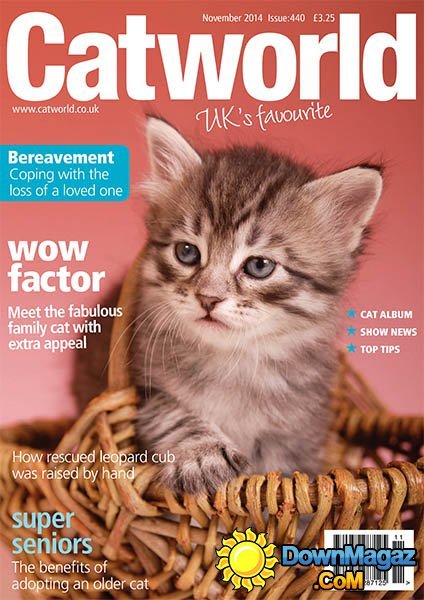 Catworld - November 2014 Catworld - November 2014