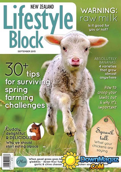 Lifestyle Block NZ - September 2015 Lifestyle Block NZ - September 2015