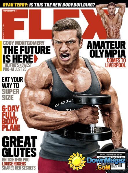 Flex UK - November 2015 Flex UK - November 2015
