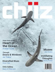 Chiiz - Vol.16 2018