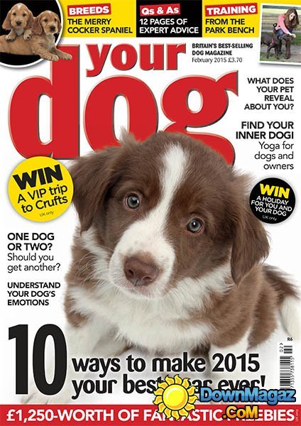 Your Dog - February 2015