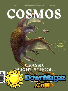 Cosmos - Autumn 2017 Cosmos - Autumn 2017