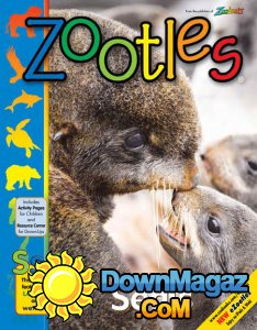 Zootles - 03/04 2017 Zootles - 03/04 2017