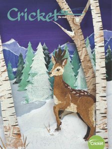 Cricket - 11/12 2019 Cricket - 11/12 2019