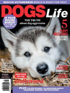 Dogs Life - 01/02 2018 Dogs Life - 01/02 2018