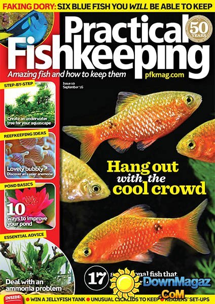 Practical Fishkeeping - September 2016 Practical Fishkeeping - September 2016