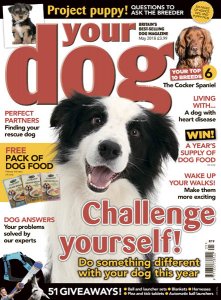 Your Dog – 05.2018 Your Dog – 05.2018