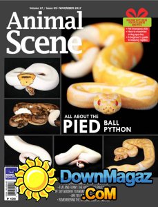 Animal Scene - 11.2017 Animal Scene - 11.2017