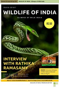 Wildlife of India - 09.2017 Wildlife of India - 09.2017