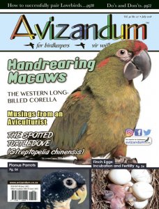 Avizandum - 07.2018