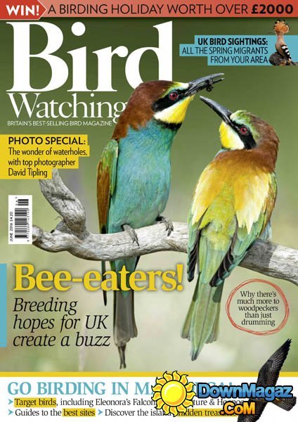 Bird Watching UK - June 2016 Bird Watching UK - June 2016