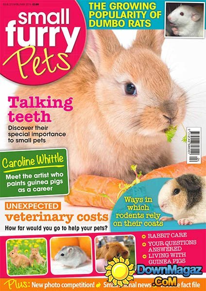 Small Furry Pets - April - May 2016 Small Furry Pets - April - May 2016