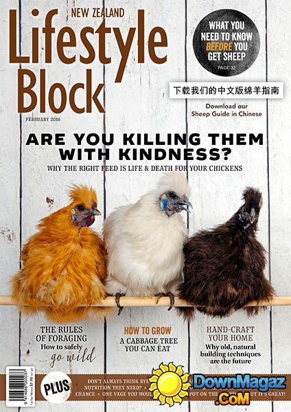 Lifestyle Block NZ - February 2016 Lifestyle Block NZ - February 2016