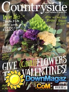 Countryside - 02.2017 Countryside - 02.2017