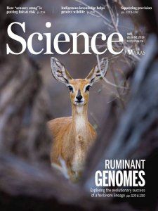 Science - 21.06.2019 Science - 21.06.2019