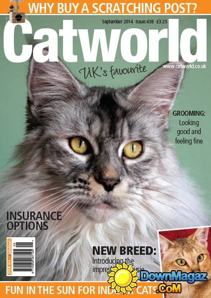 Catworld – September 2014 Catworld – September 2014