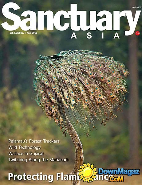 Sanctuary Asia - April 2016 Sanctuary Asia - April 2016