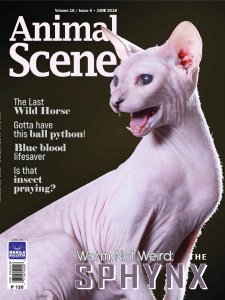 Animal Scene - 06.2018 Animal Scene - 06.2018