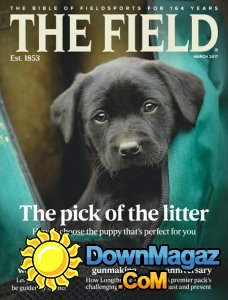 The Field - 03.2017 The Field - 03.2017